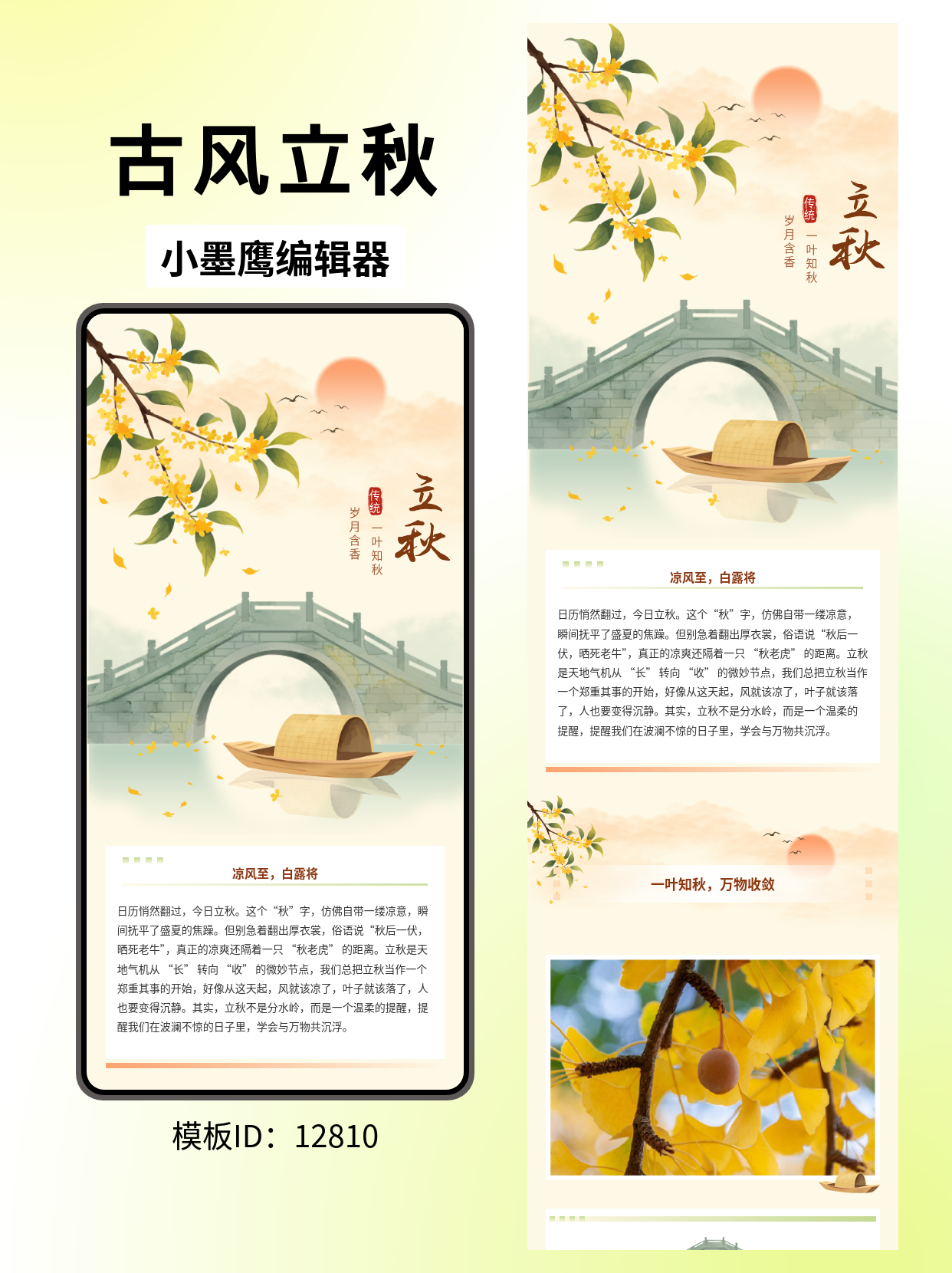立秋古风公众号排版幼儿园小清新公众号模版去哪找分享｜岁月含香&middot;一叶知秋