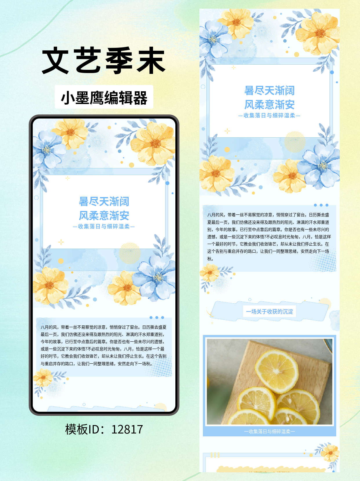 公众号排版微信编辑器免费好用的模版推荐｜文艺风「告别盛夏」：蓝黄向日葵&middot;水彩圆点