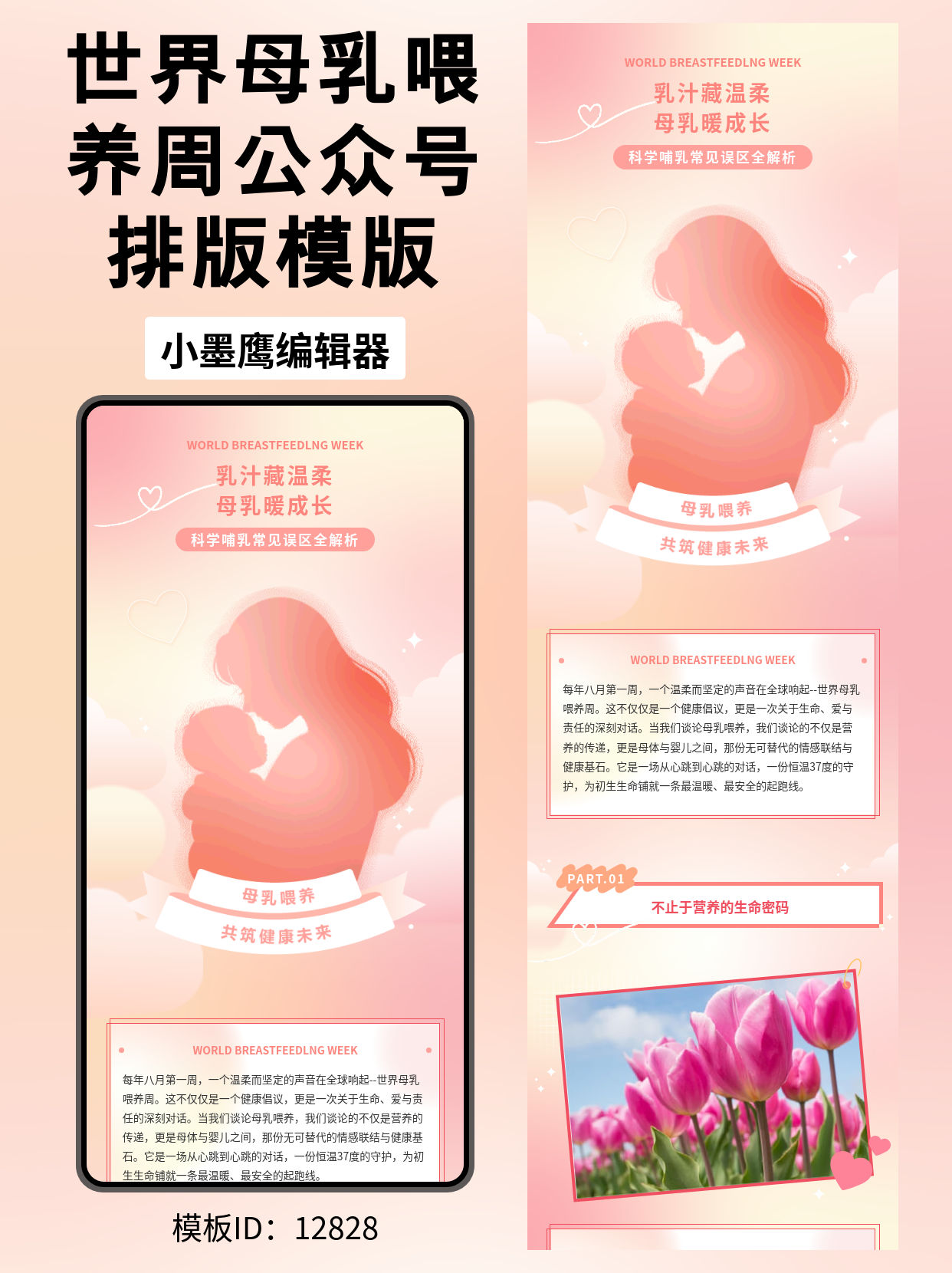 公众号排版模板