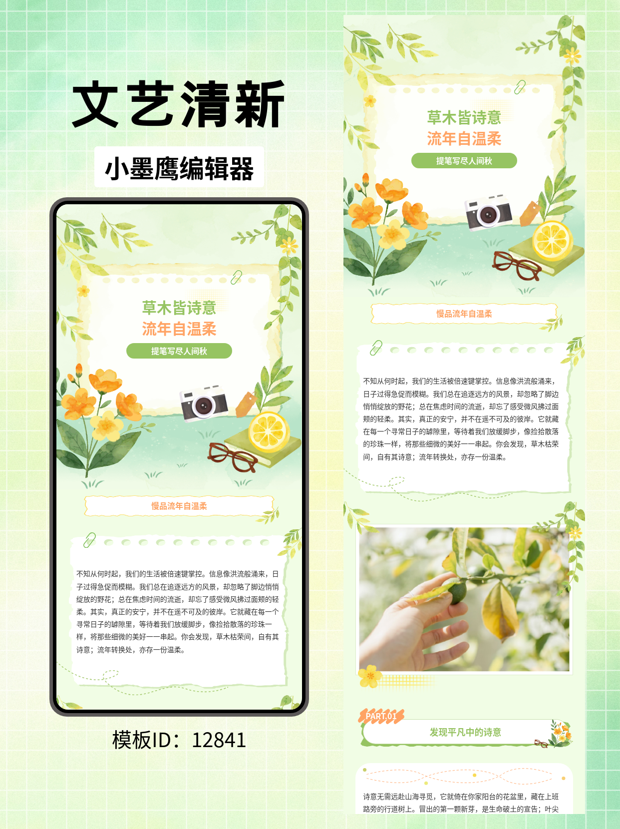 文艺清新公众号排版公众号模板推荐｜草木皆诗意，流年自温柔