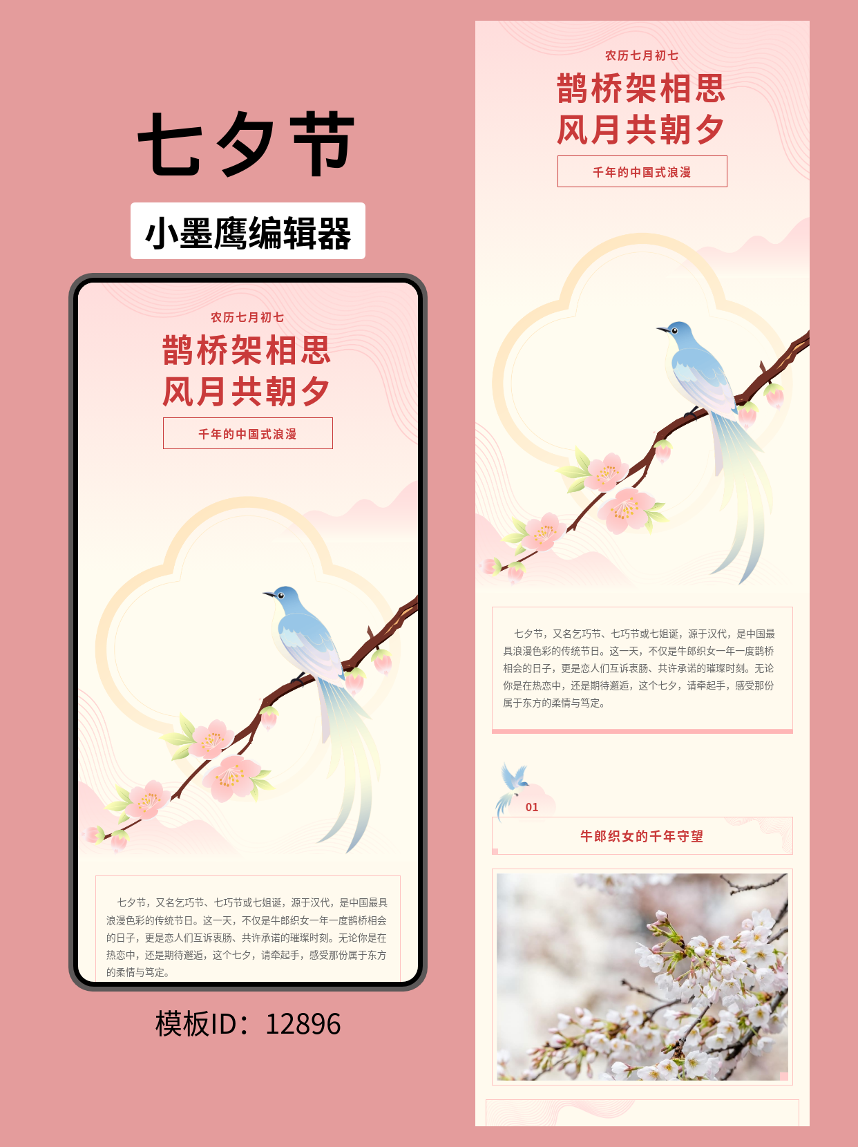 七夕节（农历七月初七）公众号排版微信公众号模板推荐：文艺浅粉渐变&middot;桃花喜鹊风