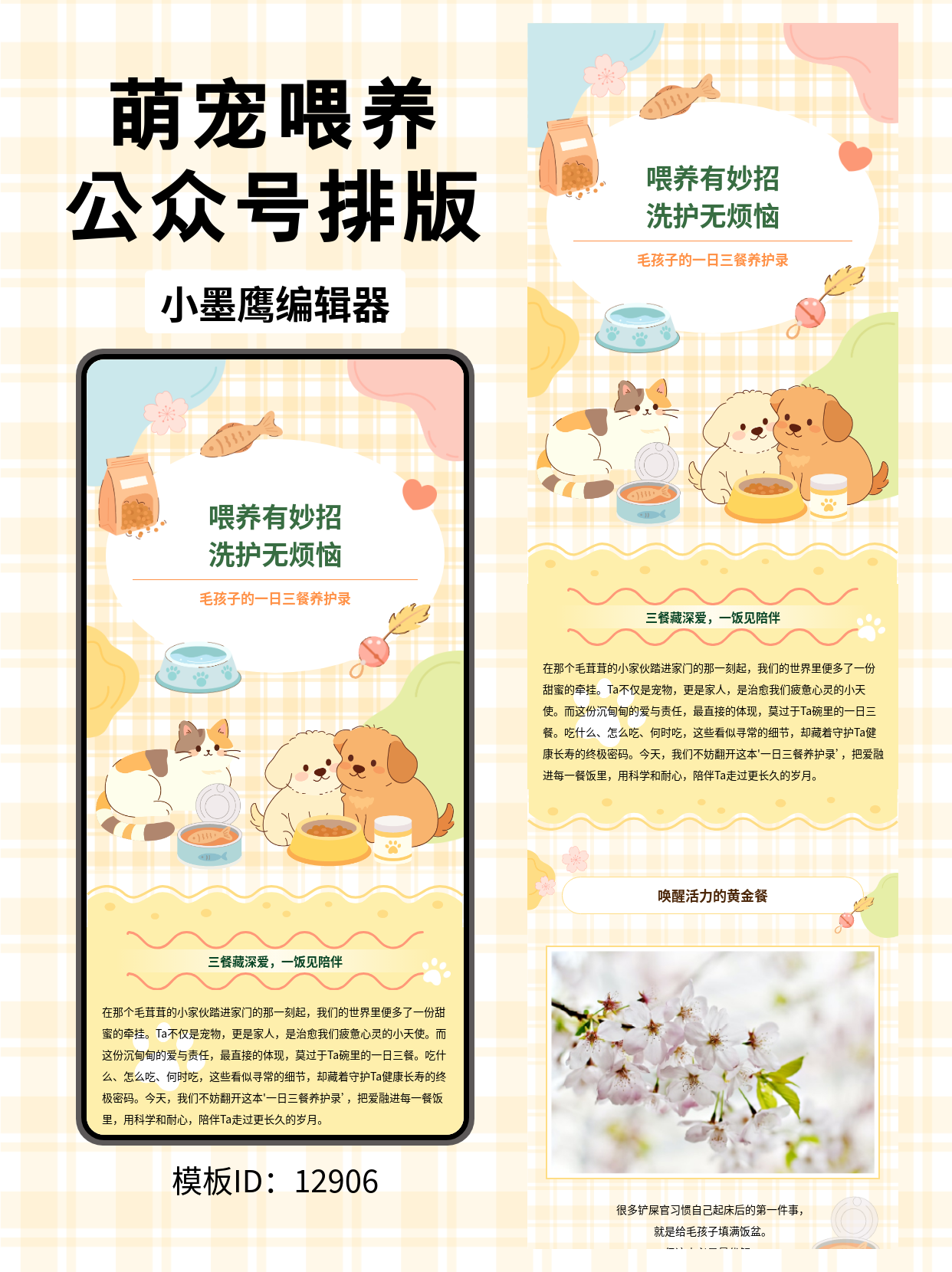 宠物公众号排版必备：用这款卡通公众号推文模版，让毛孩子的一日三餐记录更吸睛