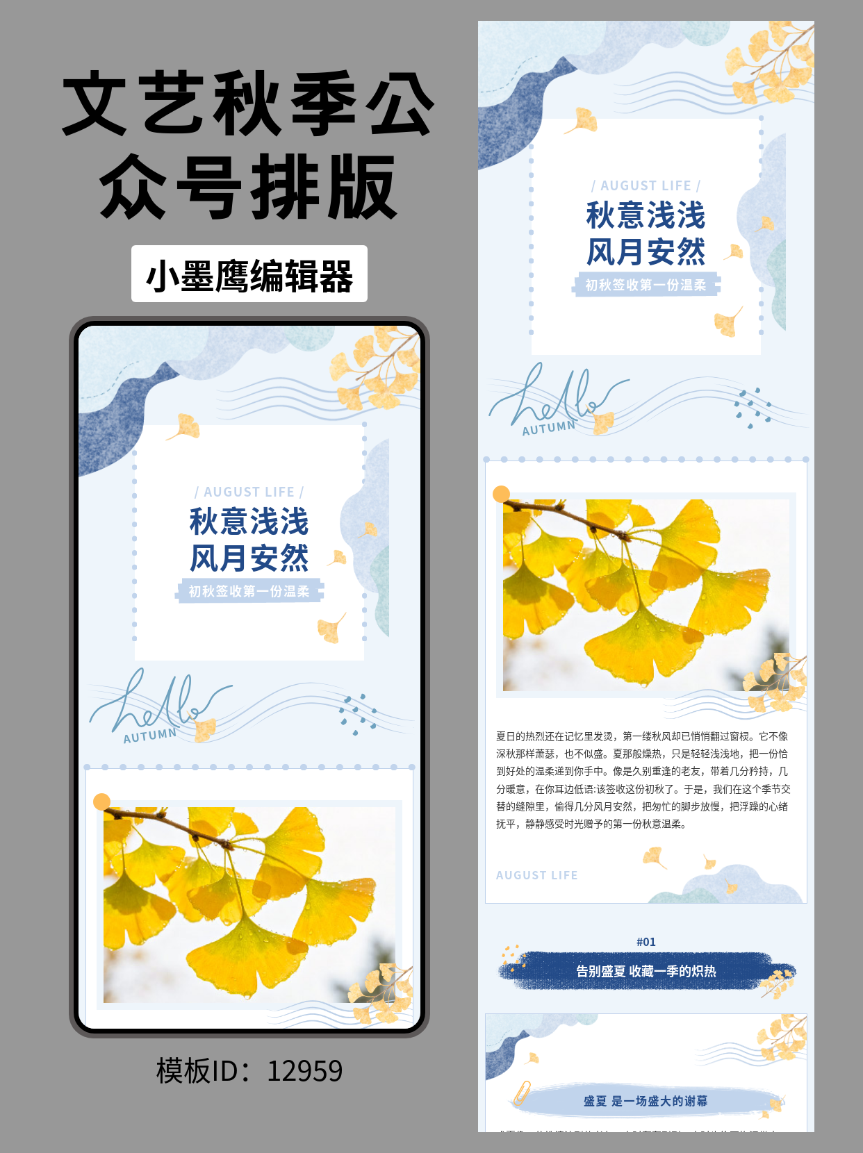 初秋公众号排版微信公众号在哪里搜文章模版推荐｜文艺风银杏叶签收秋日温柔