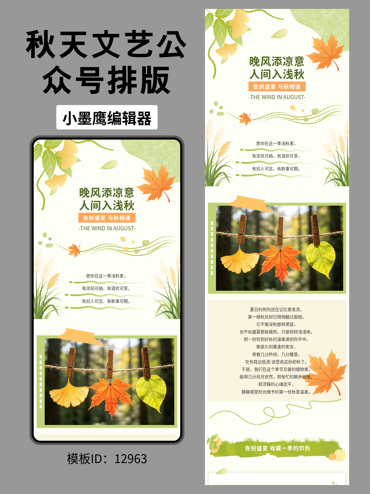文艺风公众号排版精美公众号模板去哪找分享｜告别盛夏，与秋相逢（初秋银杏枫叶主题）