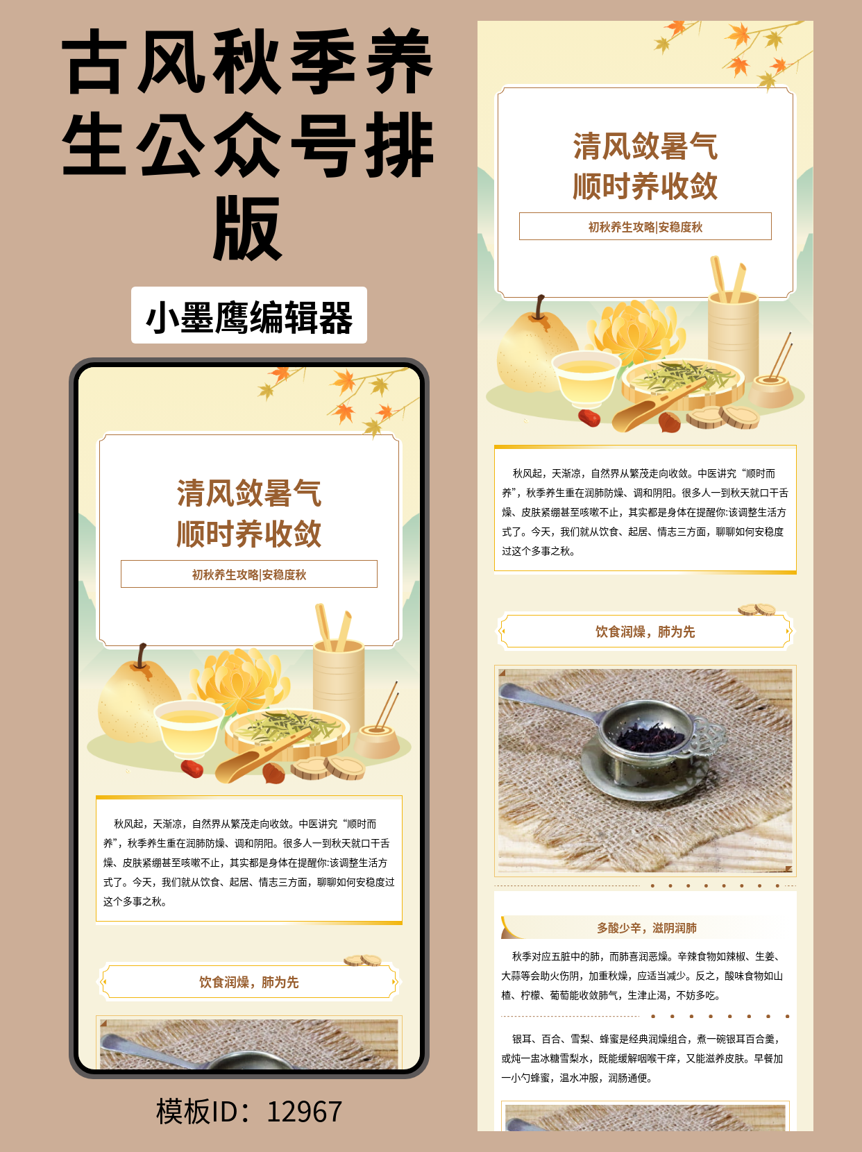 初秋养生公众号排版免费公众号模版分享：古风秋意，安稳度秋