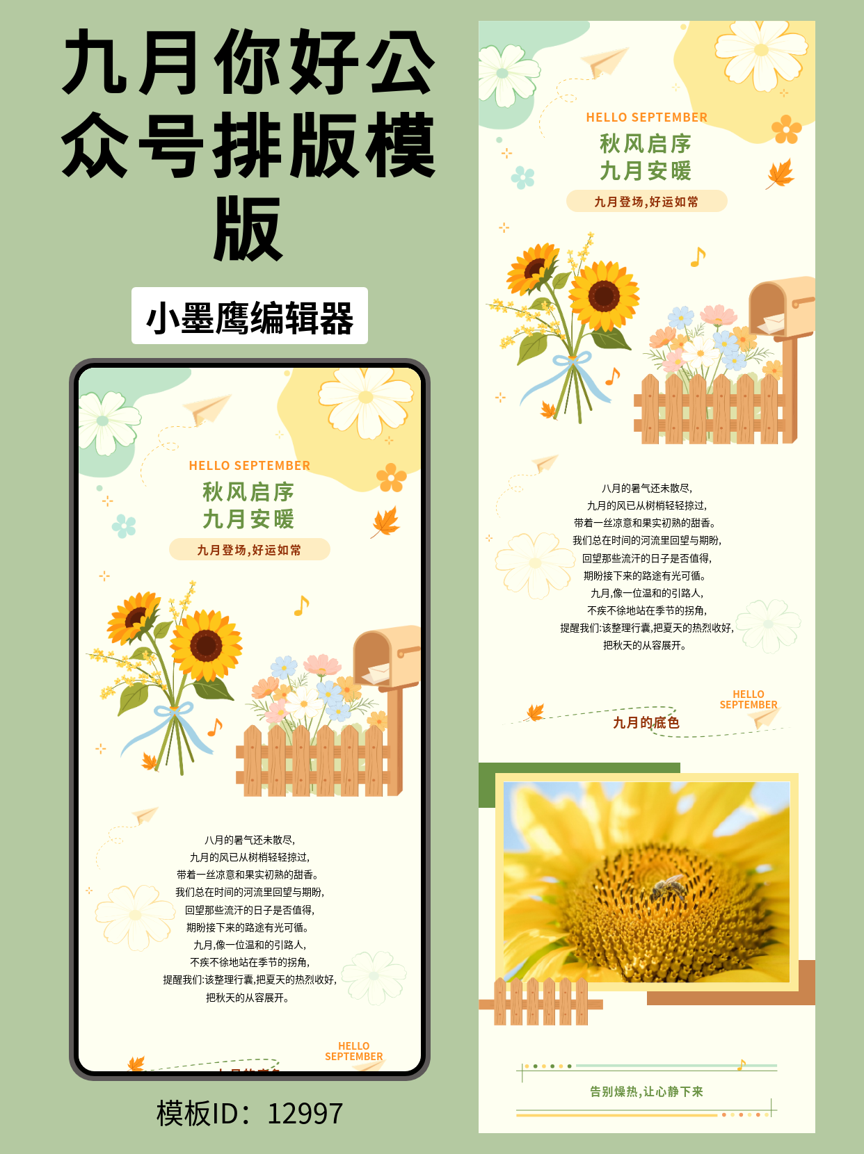 九月登场&middot;好运如常｜文艺风公众号排版公众号模板工具推荐（波斯菊/纸飞机/花束/音符）