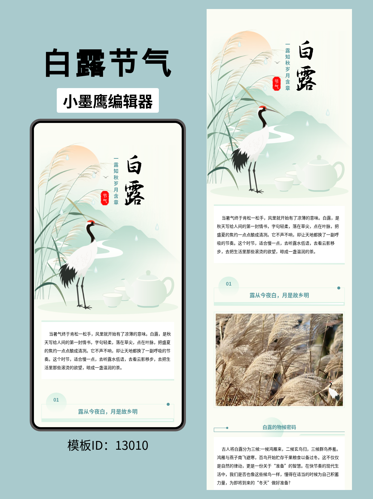 国风白露节气公众号排版微信公众号在哪里搜文章模版推荐：一露知秋，岁月含章