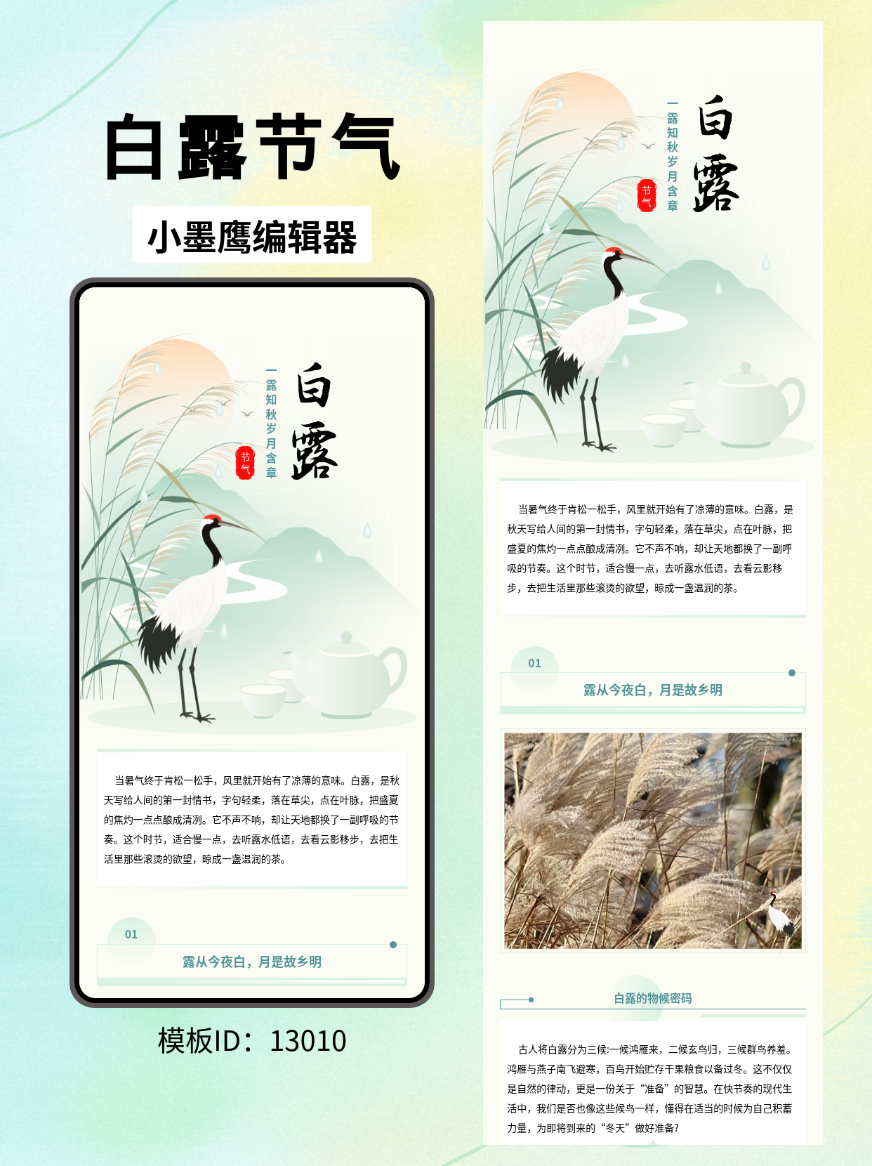 国风节气&middot;白露｜公众号排版微信编辑器免费好用的模版推荐：一露知秋，岁月含章