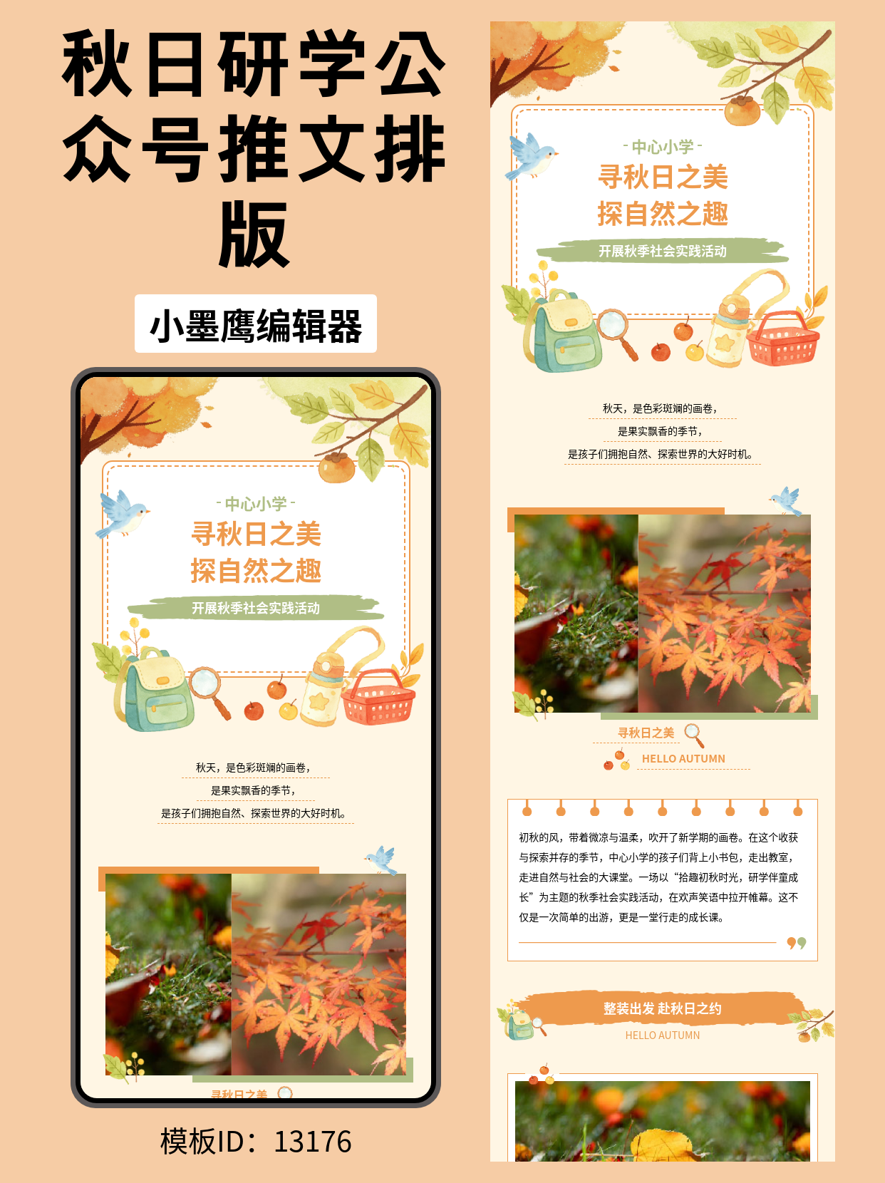 公众号模板免费