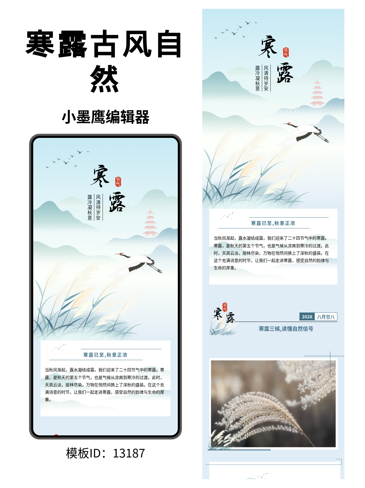 公众号排版模板