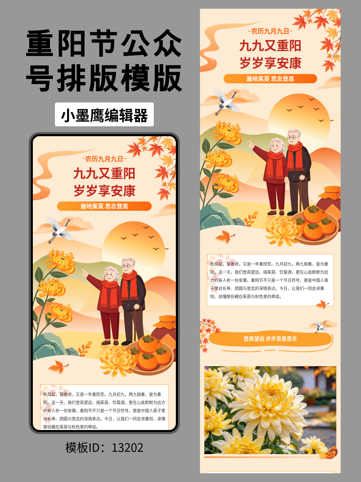 重阳节通用风公众号排版公众号模板分享｜遍地茱萸&middot;思念登高