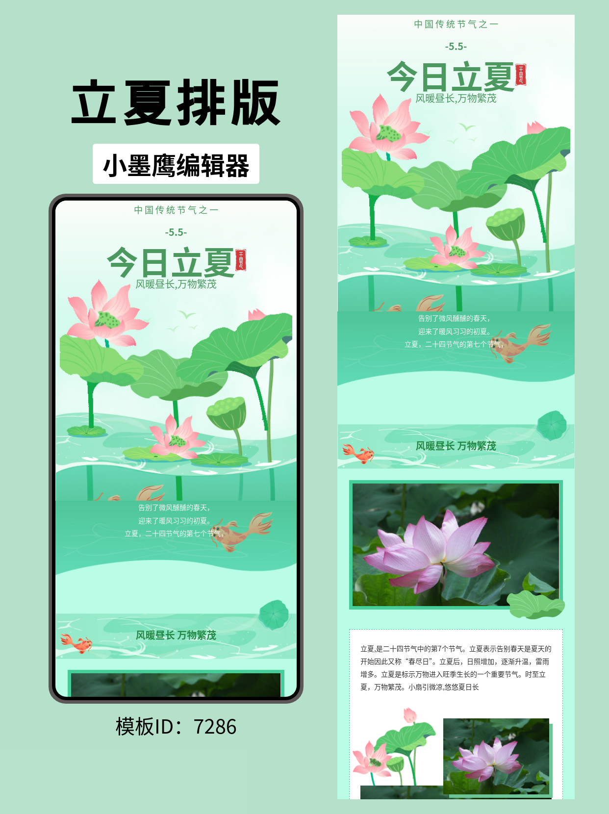 立夏节气公众号排版模板：素描风荷塘主题推荐