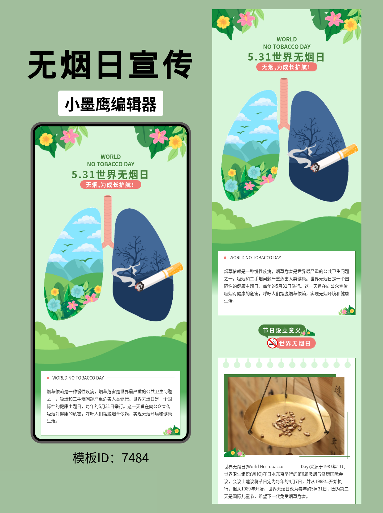 世界无烟日公众号排版教育类公众号模版去哪找推荐：清新视觉传递控烟力量