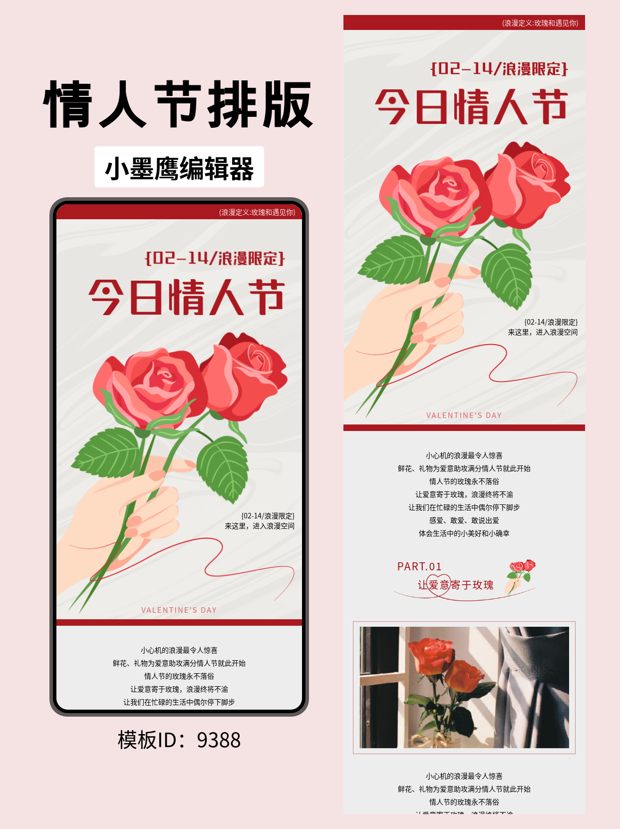  情人节公众号排版模板推荐：文艺风浪漫限定