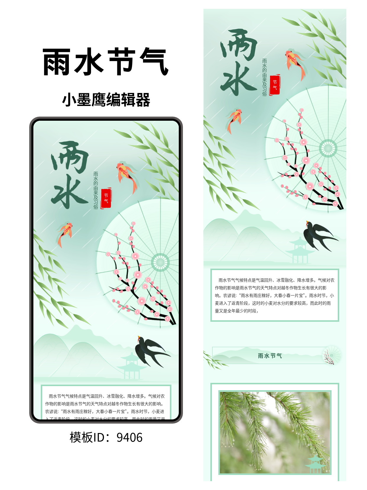  古风节气排版指南：雨水节气的由来与习俗模板分享