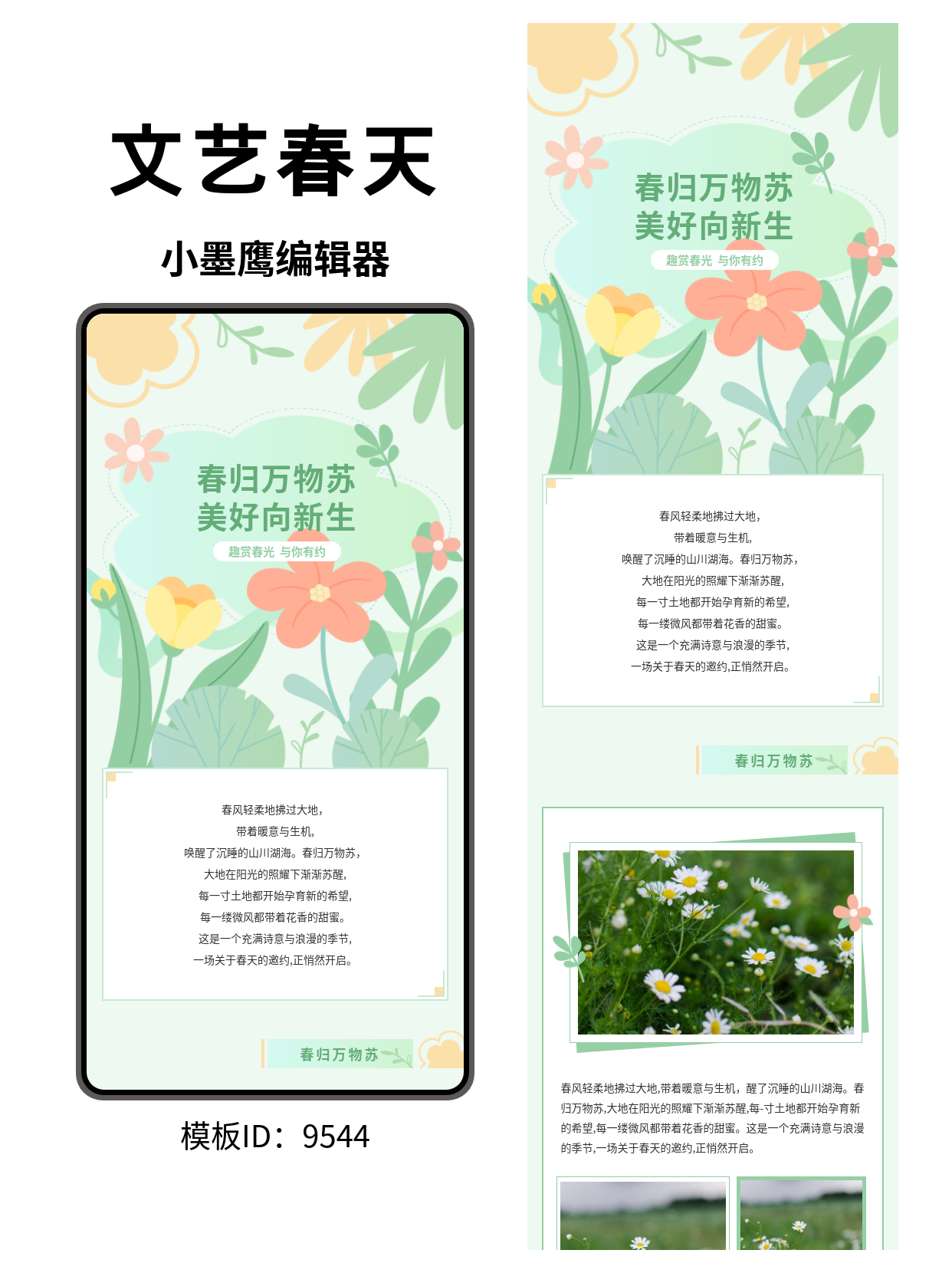  春日文艺风公众号排版模板推荐：让春意跃然纸上