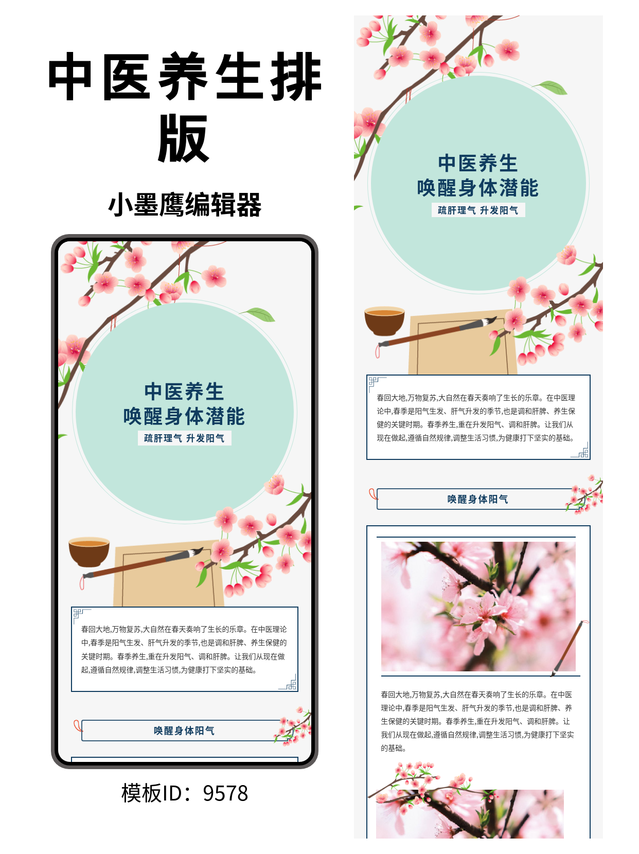 公众号排版模板