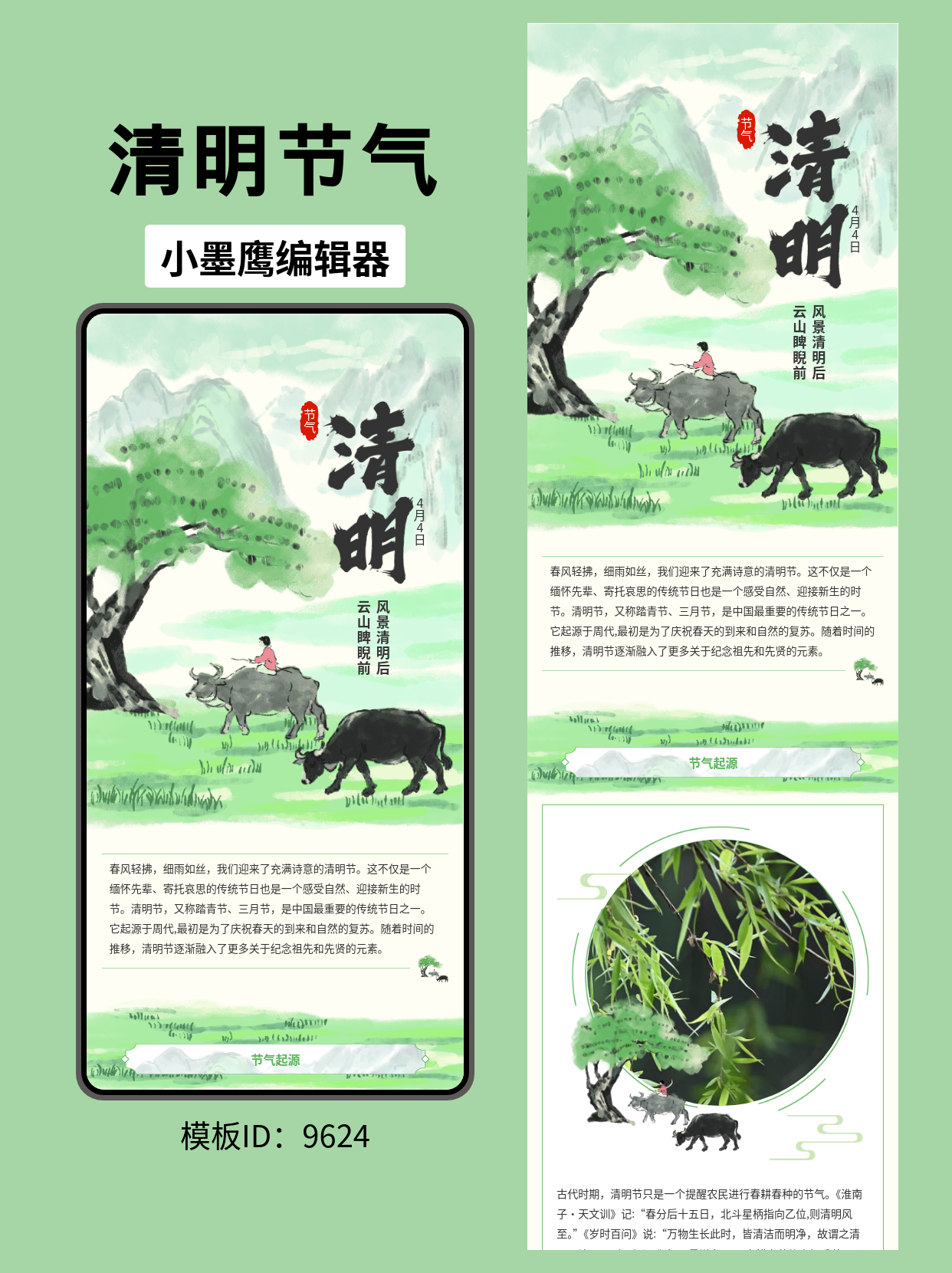 古风清明节气排版模板：牧童放牛诗意画卷