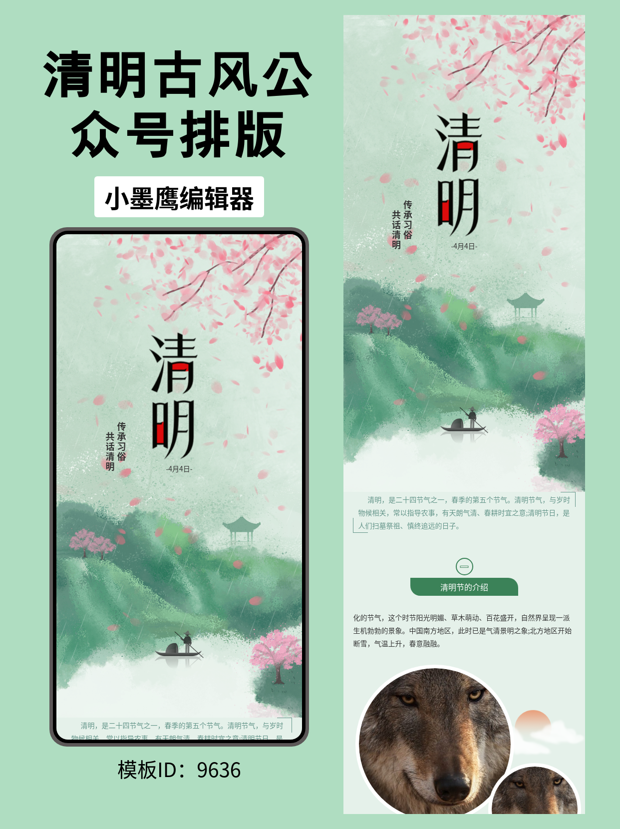 古风清明主题公众号排版模板分享：山水画卷与桃花飘落
