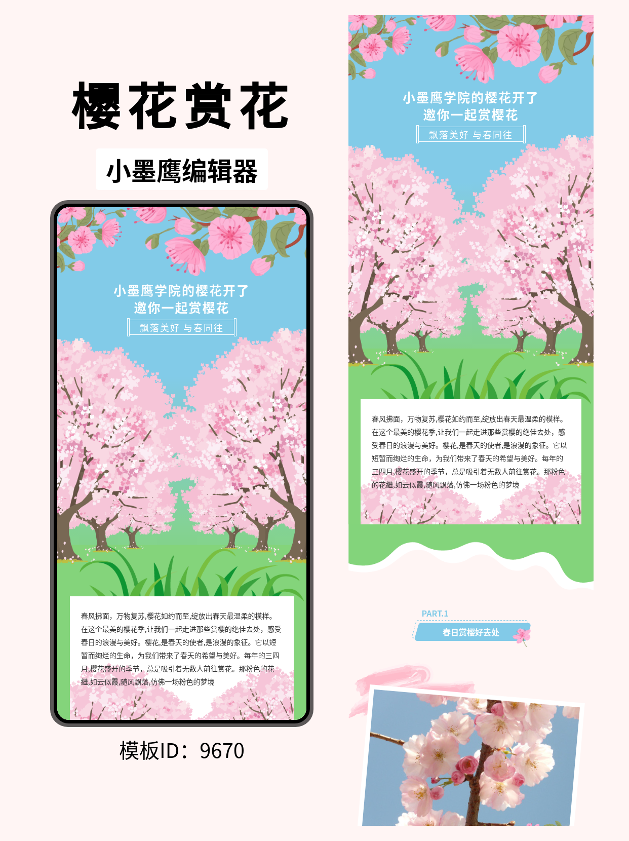 樱花主题文艺风公众号排版模板推荐：让推文如春日般清新优雅