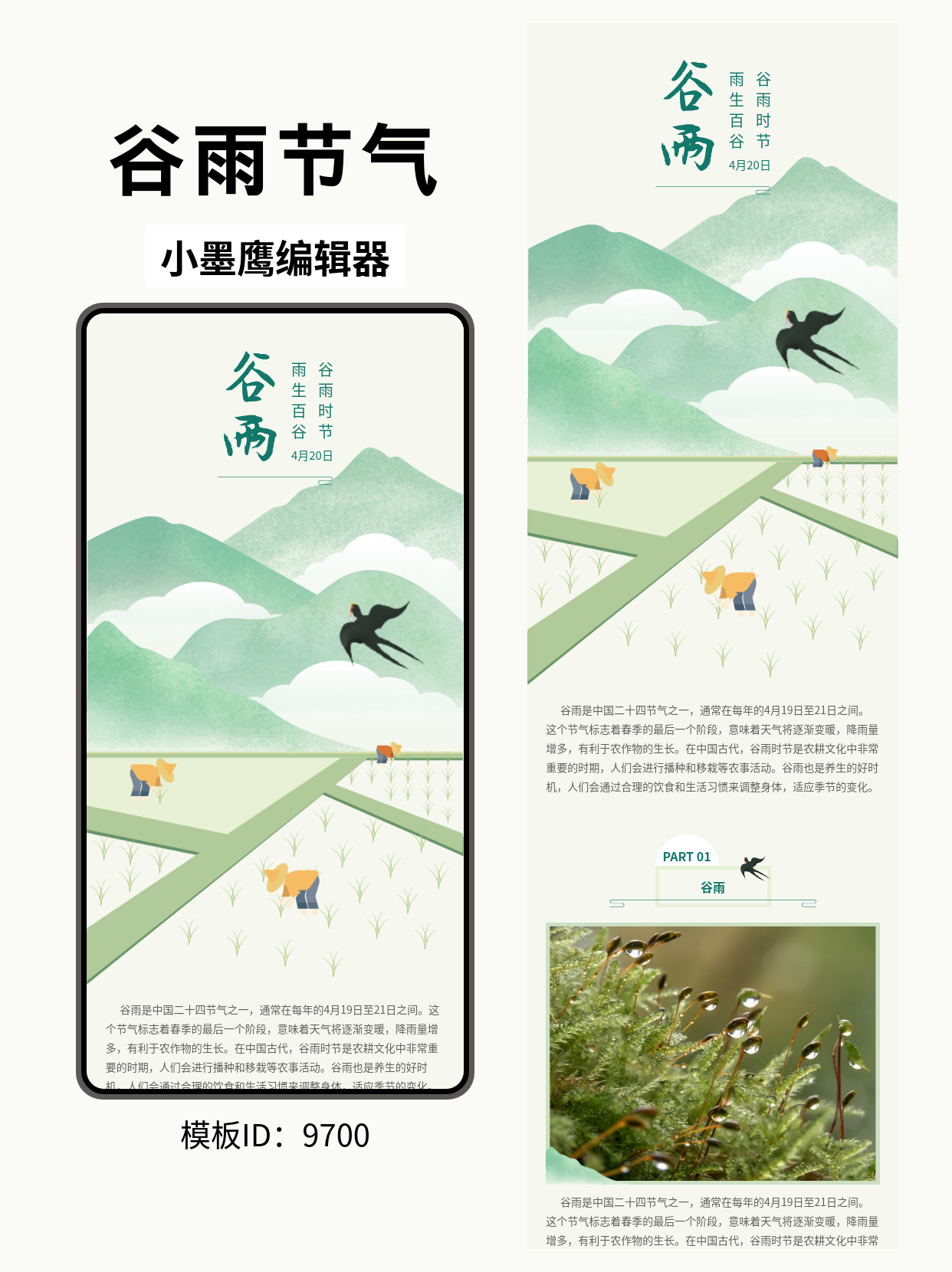 精美公众号排版模板推荐：谷雨主题模板，让文章更具节日氛围