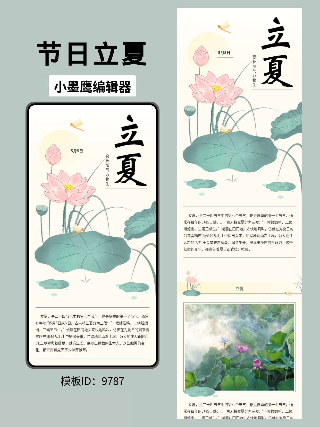 立夏节气公众号排版微信公众号的页面模版：清新荷塘风一键套用指南