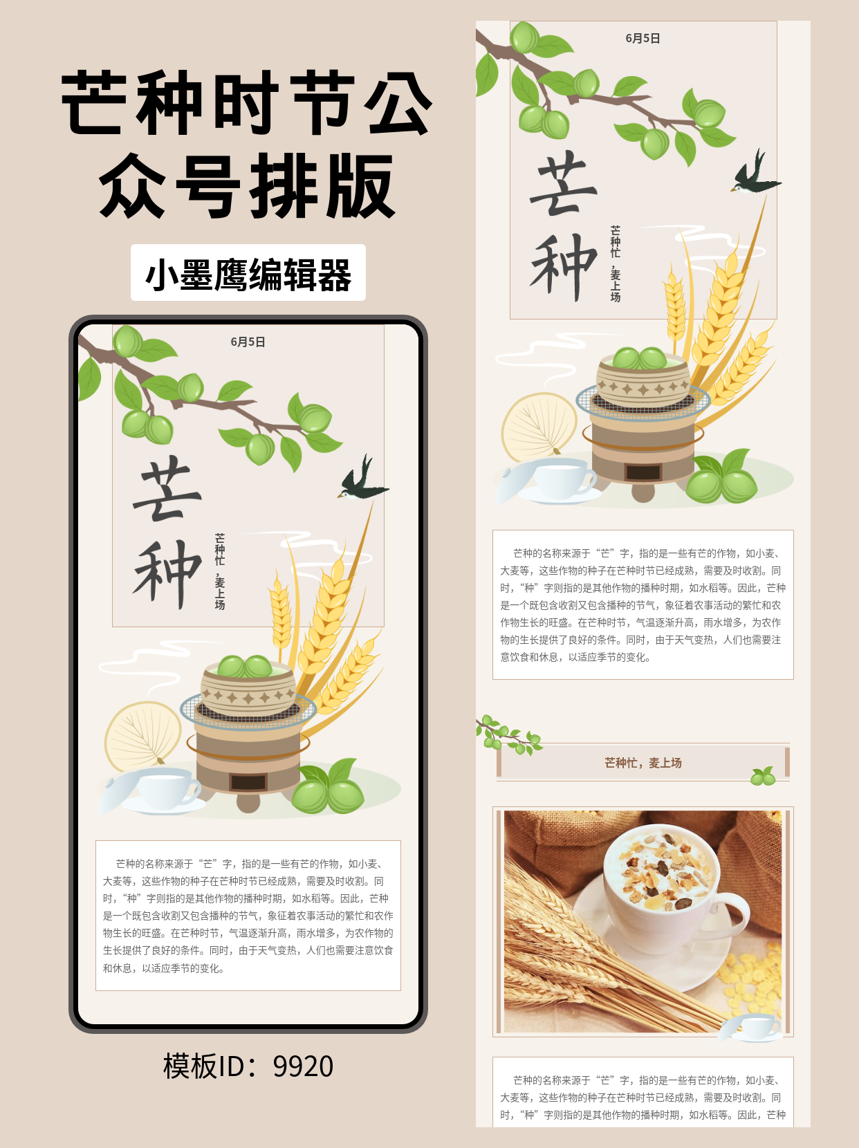 SVG公众号模板推荐