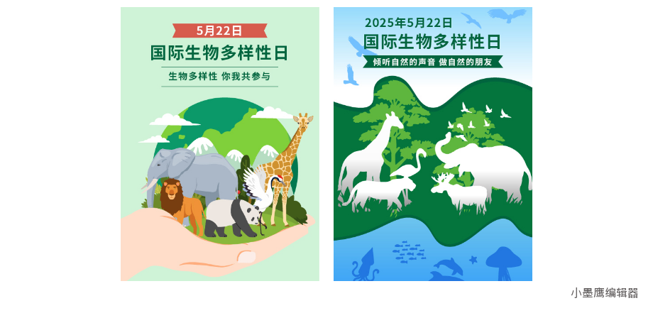 6a027dbc02cbf.png